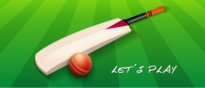 Cricket ball and bat