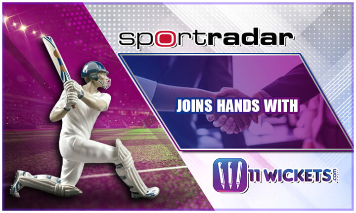 sportradar collaborates with 11Wickets.com