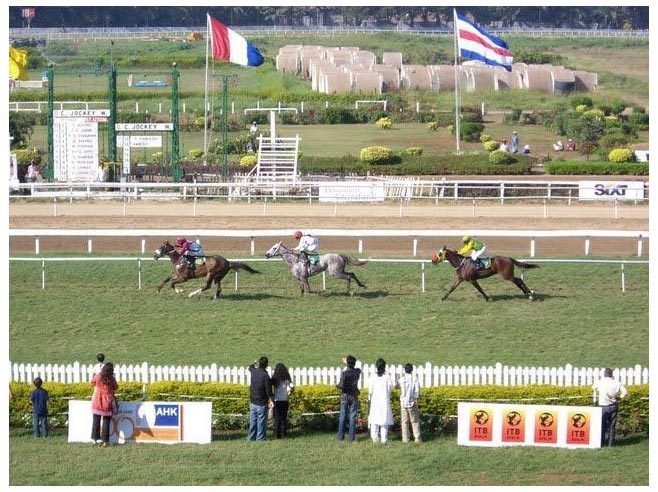 Horse race Mumbai
